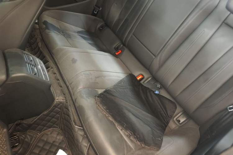 Used Audi A5 2023 Coupe 40 TFSI Fashionable and Dynamic Model Left Rear Seat