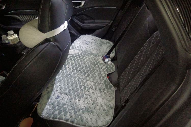 Used Audi A5L Sportback 2026 TFSI 150kW Premium quattro Model Left Rear Seat