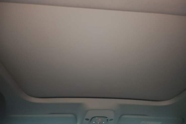 Used Audi A6 2020 Avant Futurist 45 TFSI Prestige Dynamic Edition Headliner