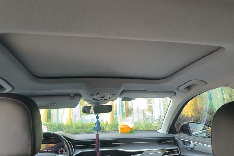 Used Audi A6 2020 Avant Futurist 45 TFSI Prestige Dynamic Edition Headliner