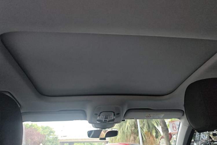 Used Audi A6 2020 Avant Futurist 40 TFSI Luxury Dynamic Model Headliner