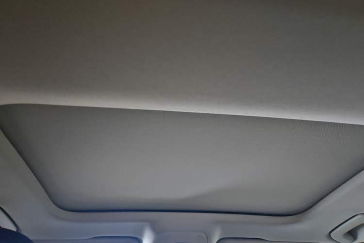 Used Audi A6 2020 Avant Futurist 45 TFSI Prestige Dynamic Edition Headliner