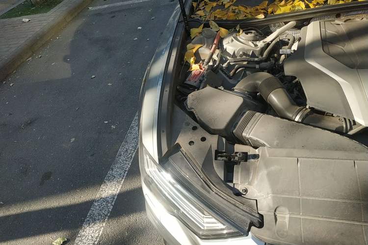 Used Audi A6 2020 allroad quattro Explorer 55 TFSI Prestige Off-Road Model Engine Bay Right