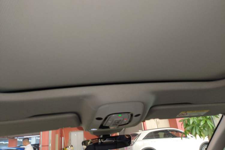 Used Audi A6 2021 Avant Avant-garde 45 TFSI Prestige Dynamic Edition Headliner