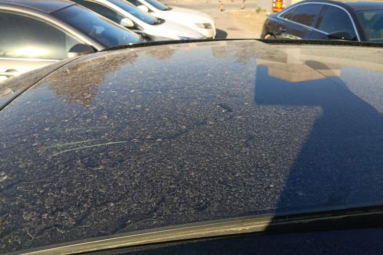 Used Audi A6 2021 Avant Avant-garde 45 TFSI Prestige Dynamic Edition Roof