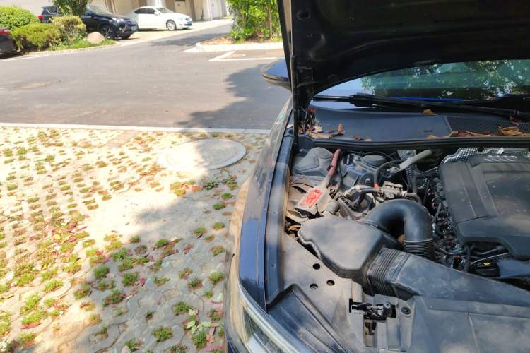 Used Audi A6 2022 Avant Futurist 40 TFSI Luxury Dynamic Model Engine Bay Right