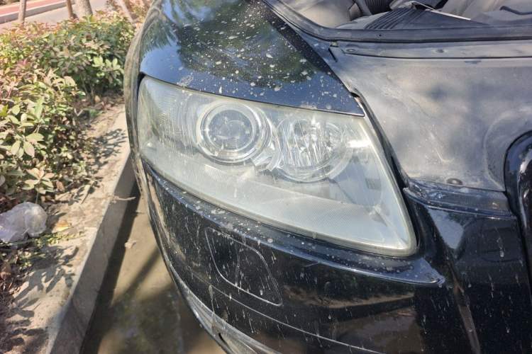 Used Audi A6L 2005 2.4L Technology Edition Right Front Headlight
