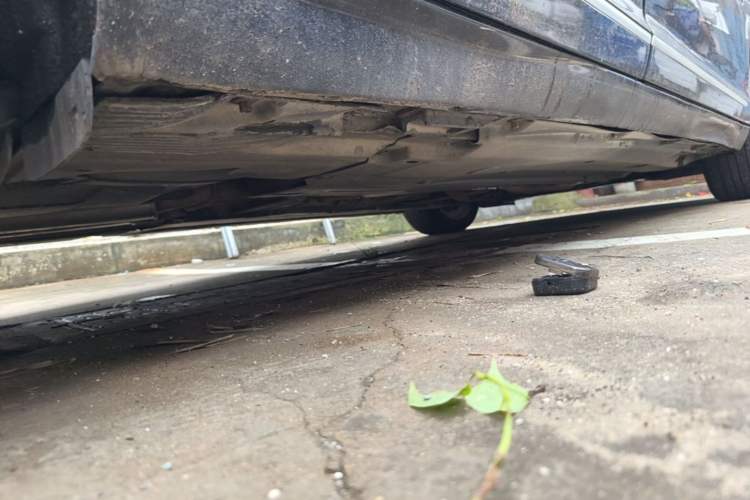 Used Audi A6L 2009 2.4L Technology version Chassis Rear Right