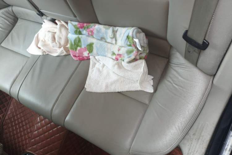 Used Audi A6L 2009 2.4L Technology version Left Rear Seat