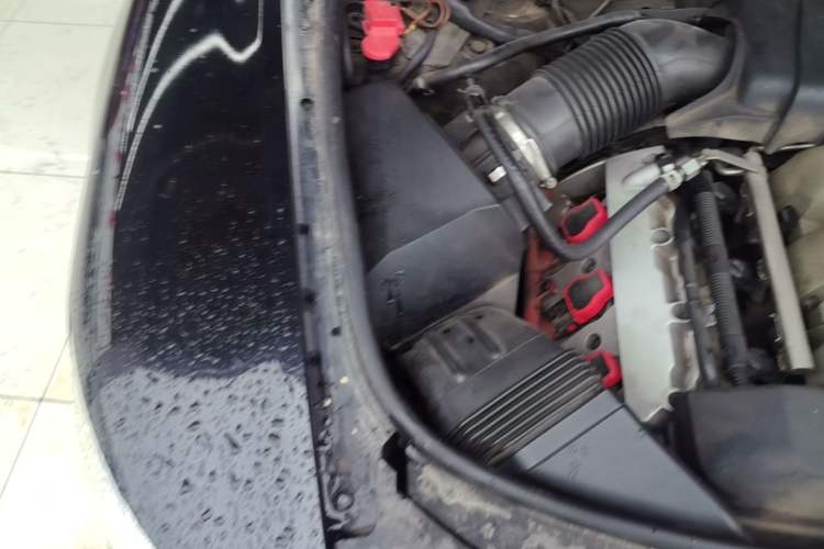 Used Audi A6L 2010 2.4L Technology Edition Engine Bay Right
