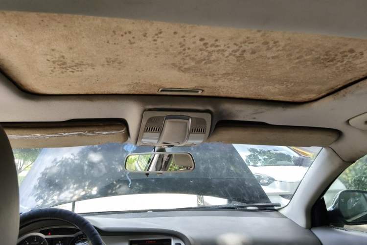 Used Audi A6L  Headliner