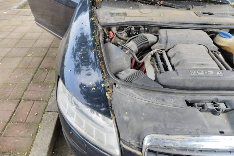 Used Audi A6L 2011 2.4L Comfort Edition Engine Bay Right