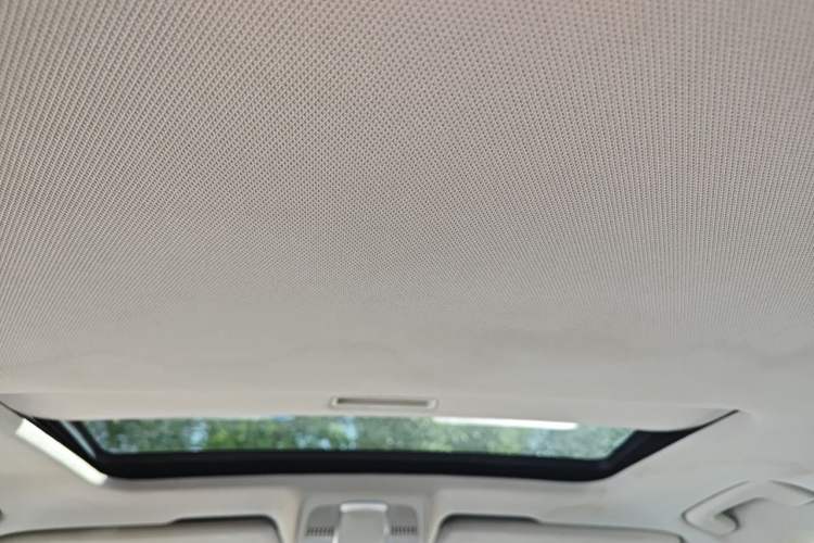 Used Audi A6L  Headliner