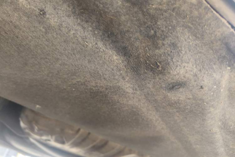 Used Audi A6L 2012 TFSI Standard Model Chassis Rear Left