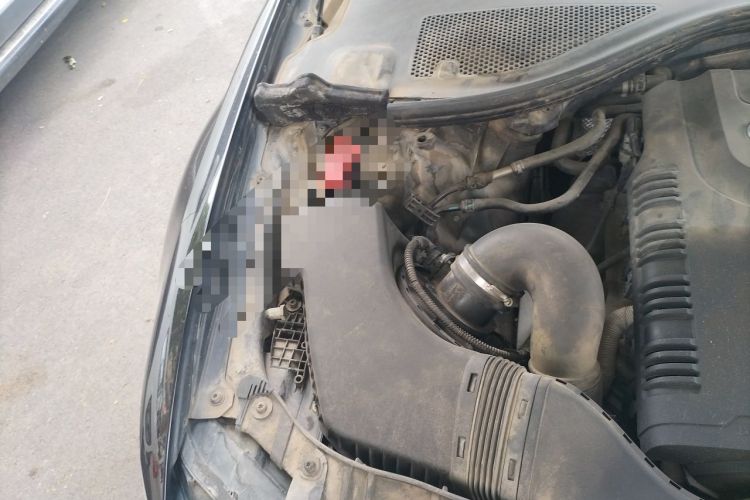 Used Audi A6L 2012 TFSI Standard Model Engine Bay Right