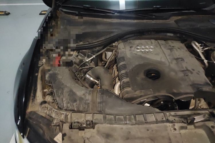 Used Audi A6L 2012 TFSI Standard Model Engine Bay Right