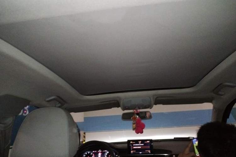 Used Audi A6L 2012 30 FSI Technology Edition Headliner