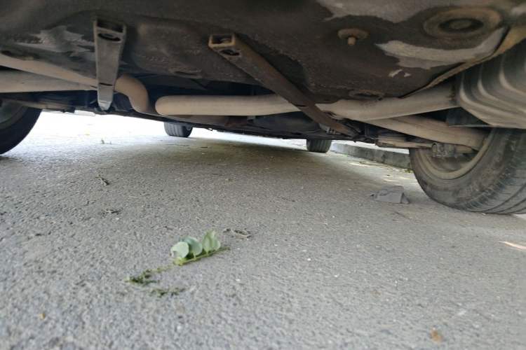 Used Audi A6L 2014 TFSI Standard Model Chassis Rear