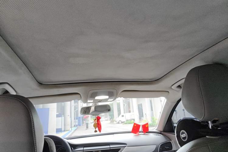 Used Audi A6L 2014 30 FSI Technology Model Headliner