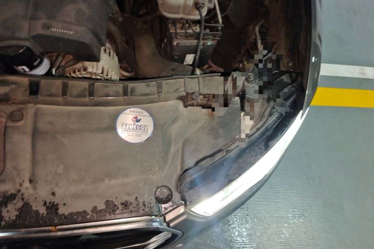 Used Audi A6L 2014 TFSI Standard Model Engine Bay Left
