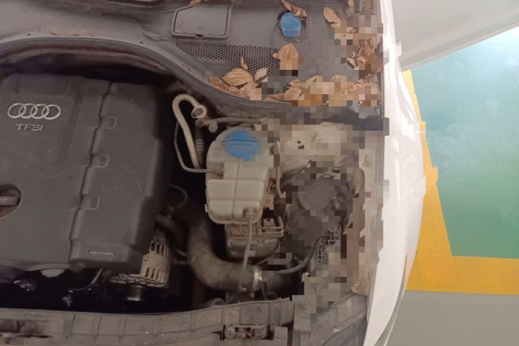 Used Audi A6L 2014 TFSI Standard Model Engine Bay Left