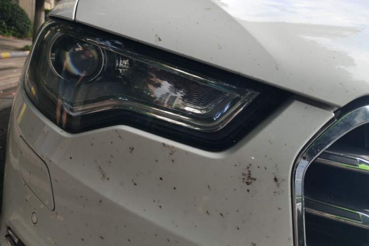 Used Audi A6L 2014 30 FSI Technology Model Right Front Headlight