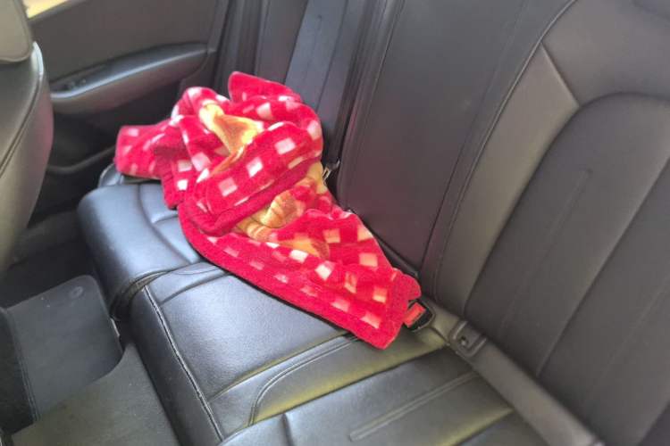Used Audi A6L 2014 TFSI Standard Model Left Rear Seat