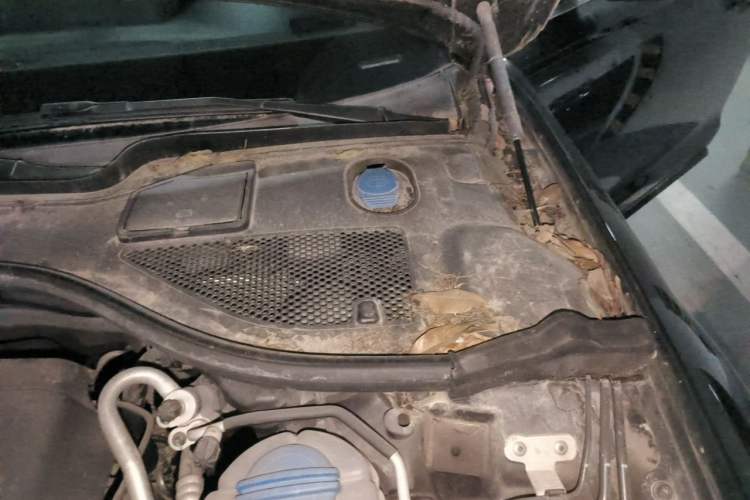 Used Audi A6L 2015 TFSI Millionth Anniversary Intelligent Model Engine Bay Left