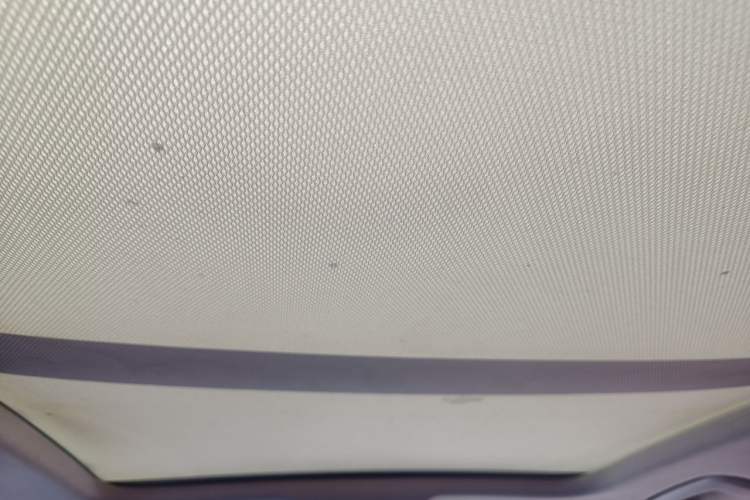 Used Audi A6L 2016 30 FSI Comfort Version Headliner