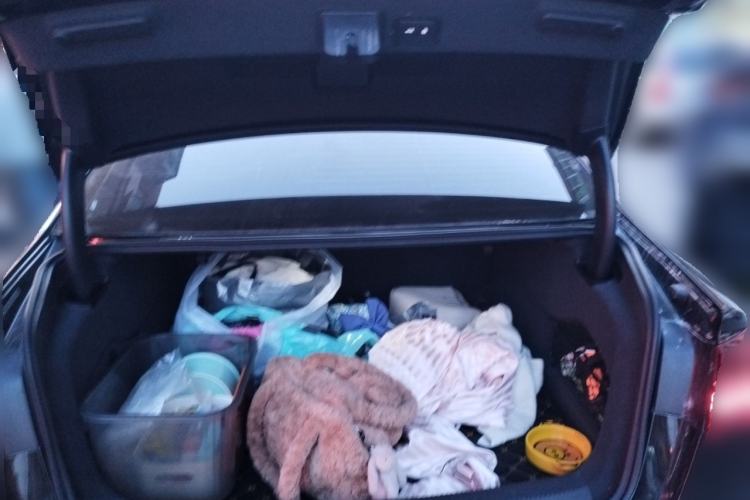 Used Audi A6L 2017 TFSI Comfort Model Trunk