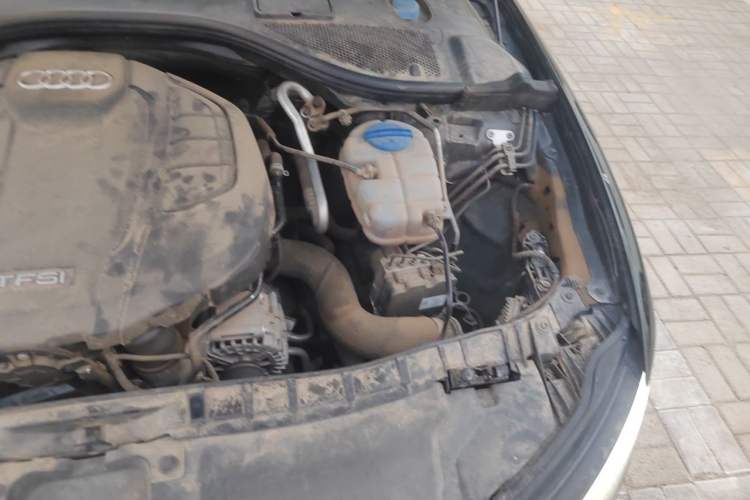 Used Audi A6L 2018 35 TFSI Collector's Edition Engine Bay Left
