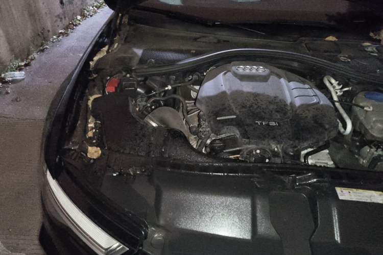 Used Audi A6L 2018 35 TFSI Collector's Edition Engine Bay Right