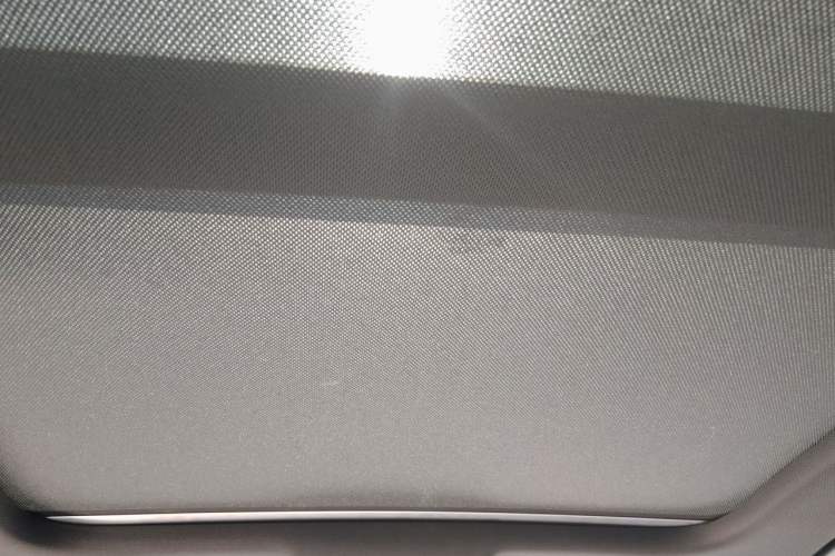 Used Audi A6L 2018 30th Anniversary Edition 35 TFSI Sport Edition Headliner