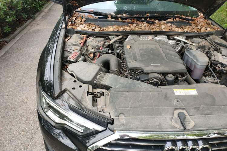 Used Audi A6L 2019 45 TFSI Prestige Elegant Edition Engine Bay Right