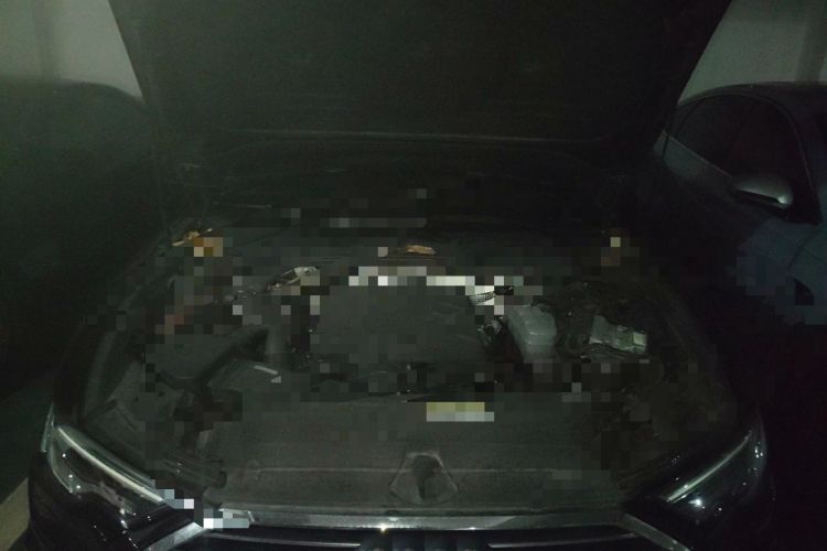 Used Audi A6L 2019 45 TFSI Prestige Dynamic Edition Engine Bay