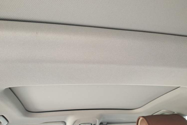Used Audi A6L 2019 45 TFSI Prestige Elegant Edition Headliner