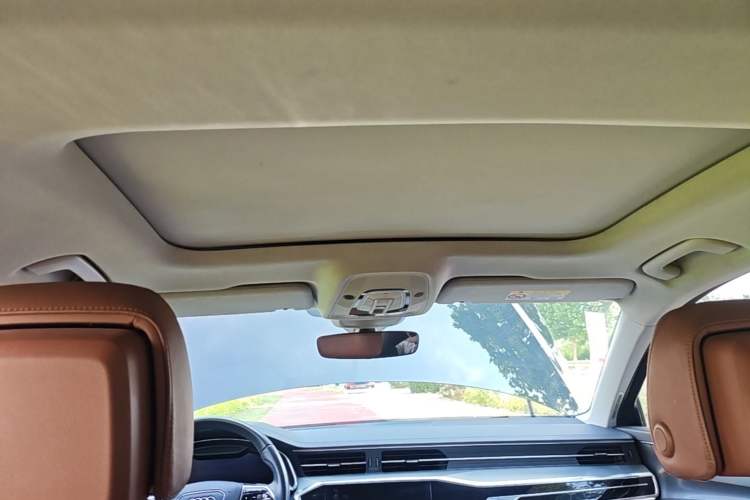 Used Audi A6L 2019 40 TFSI Luxury Prestige Edition Headliner