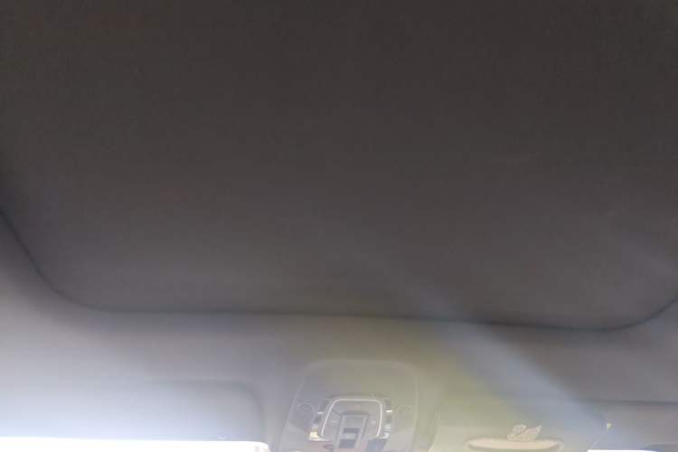 Used Audi A6L 2019 40 TFSI Luxury Dynamic Model Headliner