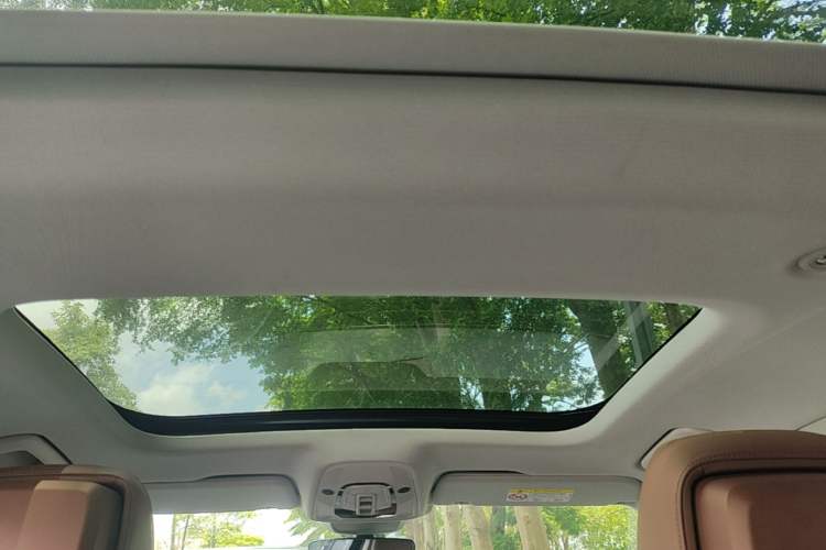 Used Audi A6L 2019 45 TFSI Prestige Elegant Edition Headliner