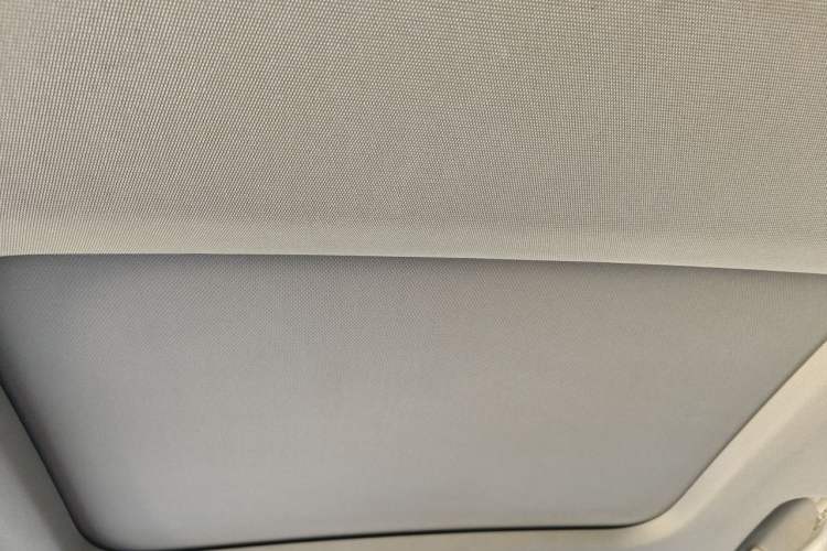 Used Audi A6L 2019 40 TFSI Luxury Prestige Edition Headliner