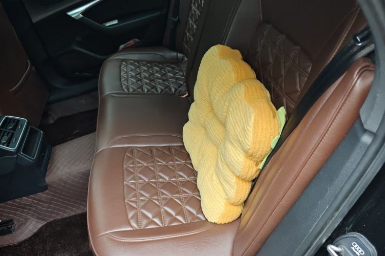 Used Audi A6L 2019 40 TFSI Luxury Dynamic Model Left Rear Seat