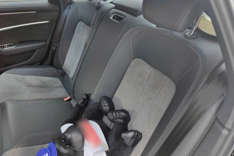 Used Audi A6L 2019 40 TFSI Luxury Dynamic Model Left Rear Seat