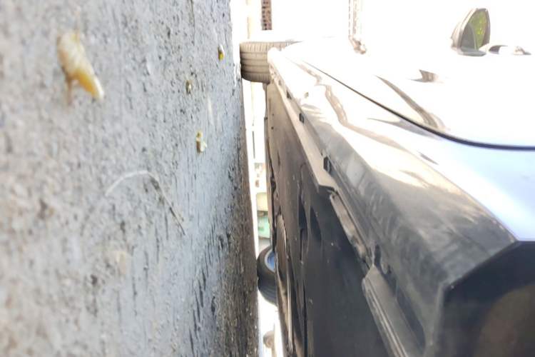 Used Audi A6L 2019 45 TFSI Prestige Dynamic Edition Left Side Sill