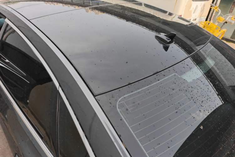 Used Audi A6L 2019 40 TFSI Luxury Dynamic Model Roof