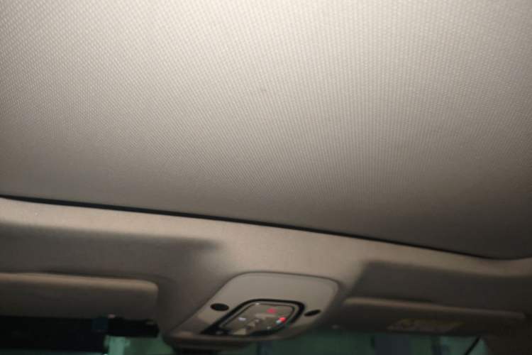 Used Audi A6L 2019 45 TFSI Prestige Elegant Edition Headliner