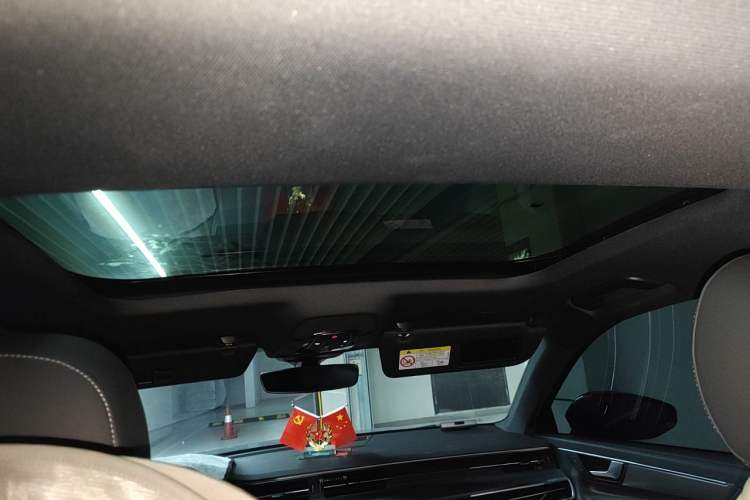 Used Audi A6L 2019 40 TFSI Luxury Dynamic Model Headliner