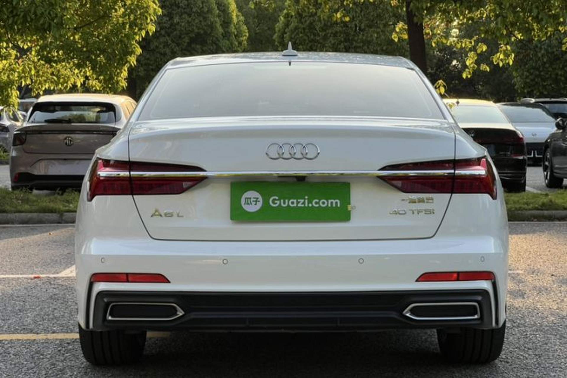Used Audi A6L 2019 40 TFSI Luxury Dynamic Model Exterior 10
