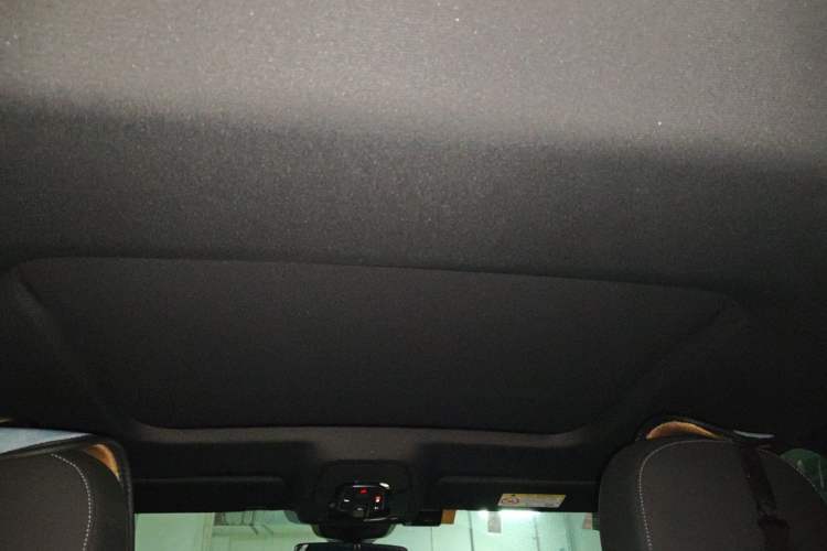 Used Audi A6L 2020 40 TFSI Luxury Dynamic Edition Headliner