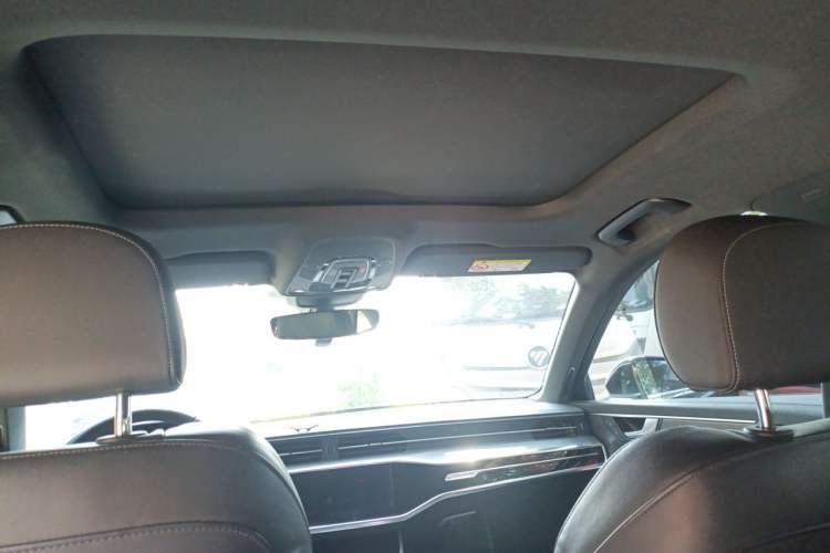 Used Audi A6L 2020 40 TFSI Luxury Dynamic Edition Headliner