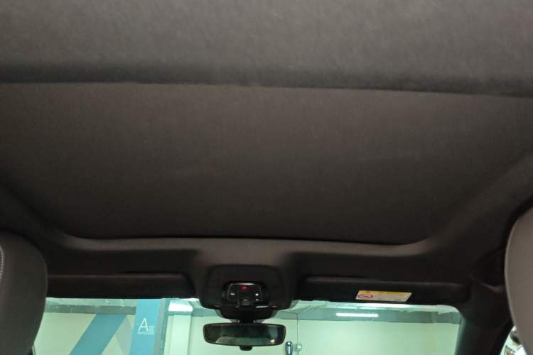 Used Audi A6L 2020 40 TFSI Luxury Dynamic Edition Headliner